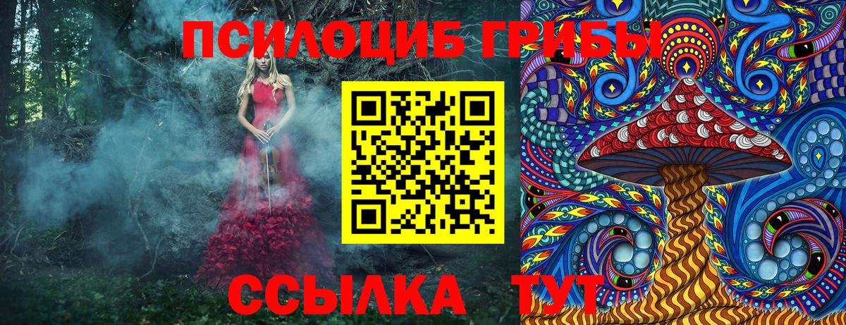 Ступино  Галлюциногенные грибы Psilocybine cubensis  Псилоцибиновые грибы мицелий  цены наркотик  Вход с VPN 